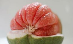 Khám phá những lợi ích vàng của quả bưởi 